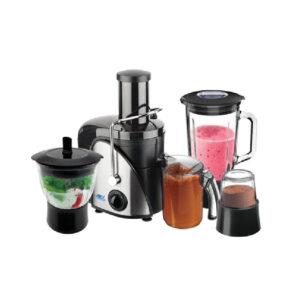 ANEX Juicer Blender Grinder AG-189EX