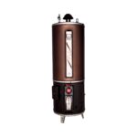 Rays 55 Gallons Electric and Gas Storage Geyser Heavy Gauge