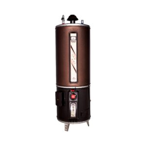 Rays 55 Gallons Electric and Gas Storage Geyser Heavy Gauge